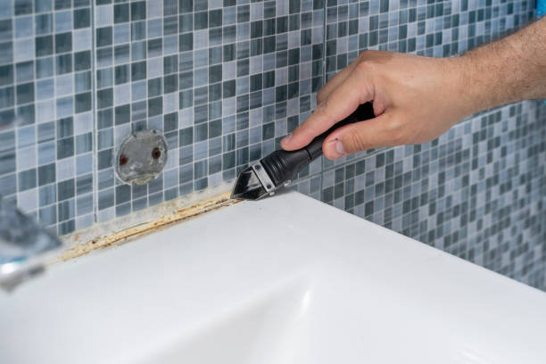 Best Mold Testing  in Solomon, KS